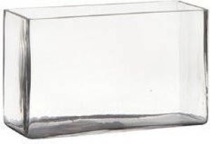 Hakbijl Glass Transparante rechthoek accubak vaas vazen van glas 25 x 10 x 15 cm Bloemstukje terrarium vaas Vazen