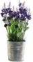 Items Lavendel kunstplant kamerplant paars in grijze sierpot H28 cm x D18 cm Kunstplanten nepplanten Kunstplanten - Thumbnail 2