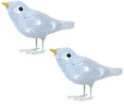 Lumineo 2x Kerstverlichting figuren voor buiten Verlichte vogel LED 30 lampjes 16 cm Koel wit kerstverlichting figuur