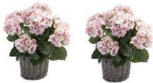 Merkloos 2x Kunstplanten Hortensia roze in rieten mand 45 cm Kamerplanten roze Hortensia woondecoratie Kunstplanten