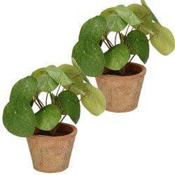 Merkloos 2x stuks Kunstplanten Pannekoekplant groen in pot 25 cm Kamerplanten groen pilea Kunstplanten