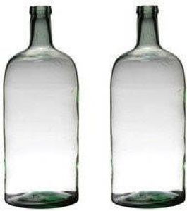 Merkloos 2x stuks transparante luxe stijlvolle flessen vaas vazen van glas 50 x 19 cm Bloemen takken vaas voor binnen gebruik Vazen