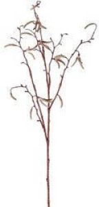 Merkloos Bruine Betula pendula berkenkatjes paastak kunsttak 66 cm Kunstbloemen kunsttakken Kunstbloemen boeketten Kunstbloemen