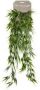 Merkloos Decoratie kunstplanten Bamboe hangende takken 75 cm Kantoor of huis kunst planten Kunstplanten - Thumbnail 2