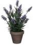 Merkloos Groene Lavandula lavendel kunstplant 33 cm in grijze plastic pot Kunstplanten nepplanten Kunstplanten - Thumbnail 2