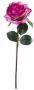 Emerald Kunstbloem roos Simone fuchsia 45 cm decoratie bloemen Kunstbloemen - Thumbnail 2