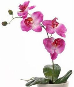 Merkloos Roze Orchidee Phalaenopsis kunstplant 44 cm voor binnen kunstplanten nepplanten binnenplanten Kunstplanten