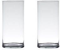 Merkloos Set van 2x stuks transparante home-basics Cylinder vaas vazen van glas 30 x 12 cm Bloemen takken boeketten vaas voor binnen gebruik Vazen
