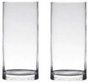 Merkloos Set van 2x stuks transparante home-basics Cylinder vorm vaas vazen van glas 25 x 12 cm Bloemen takken boeketten vaas voor binnen gebruik Vazen