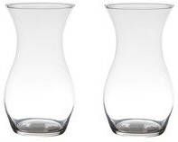 Merkloos Set van 2x stuks transparante home-basics vaas vazen van glas 25 x 14 cm Bloemen takken boeketten vaas voor binnen gebruik Vazen