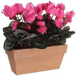 Mica Decorations Cyclaam balkon kunstplant roze in keramieken pot L29 x B13 x H33 cm Kunstplanten nepplanten balkonplanten Kunstplanten