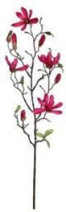 Mica Decorations Fuchsia roze Magnolia beverboom kunsttak kunstplant 80 cm Kunstplanten kunsttakken Kunstbloemen boeketten Kunstbloemen