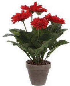 Mica Decorations Gerbera kunstplant rood in keramiek pot H35 cm Kunstplanten nepplanten met bloemen Kunstplanten