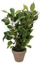 Mica Decorations Groene ficus kunstplant 40 cm voor binnen kunstplanten nepplanten binnenplanten. Kunstplanten - Foto 4