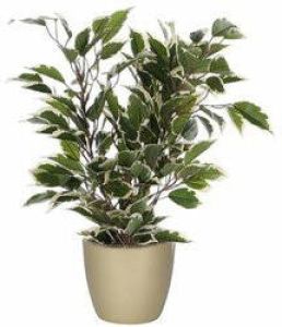 Mica Decorations Groen witte ficus kunstplant 40 cm met plantenpot parelgoud D13.5 en H12.5 cm Kunstplanten