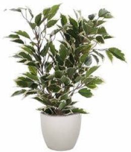 Mica Decorations Groen witte ficus kunstplant 40 cm met plantenpot taupe D13.5 en H12.5 cm Kunstplanten
