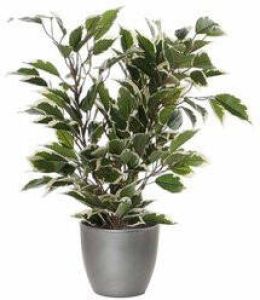 Mica Decorations Groen witte ficus kunstplant 40 cm met plantenpot zilver metallic D13.5 en H12.5 cm Kunstplanten