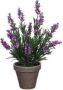 Mica Decorations Lavendel kunstplant kamerplant paars in grijze sierpot H33 cm x D20 cm Kunstplanten nepplanten Kunstplanten - Thumbnail 2