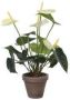 Mica Decorations Witte Anthurium kunstplant 27 cm in grijze plastic pot Kunstplanten nepplanten Kunstplanten - Thumbnail 2