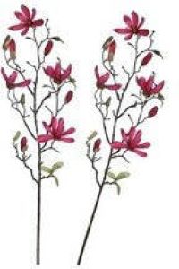 Shoppartners 2x Fuchsia roze Magnolia beverboom kunsttakken kunstplanten 80 cm Kunstplanten kunsttakken Kunstbloemen boeketten Kunstplanten