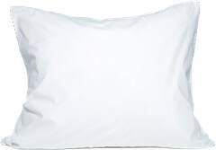 Van Morgen They Wanna Have Fun 60x70cm