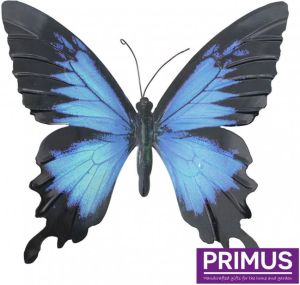 Primus Grote vlinder blauw en zwart