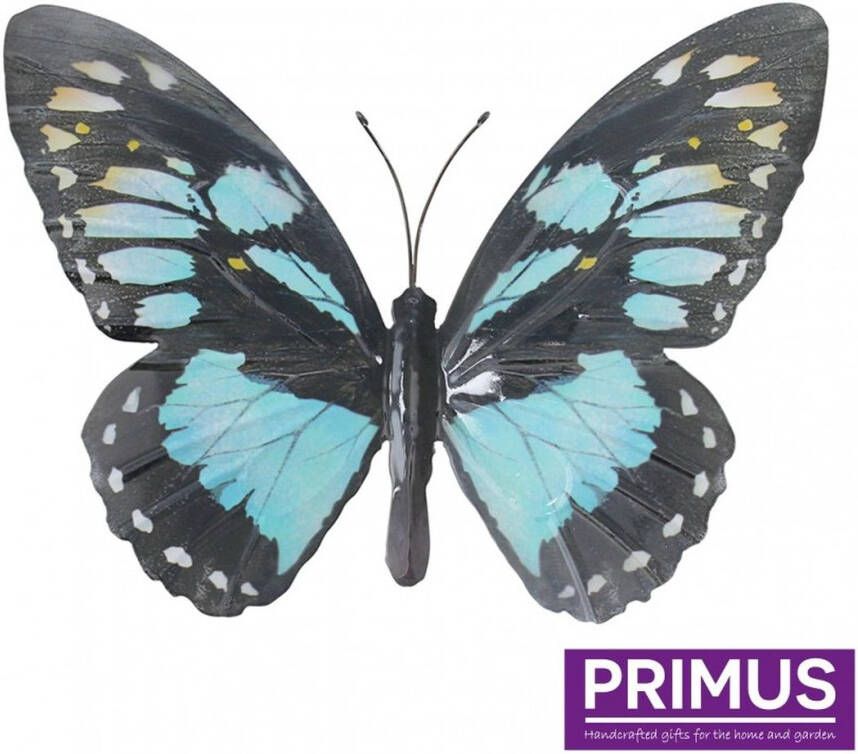 Primus Grote vlinder cyaan