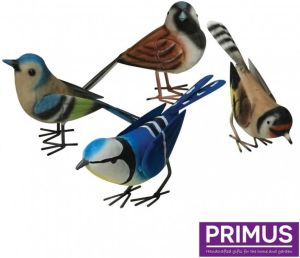 Primus Set van 4 Engelse vogels