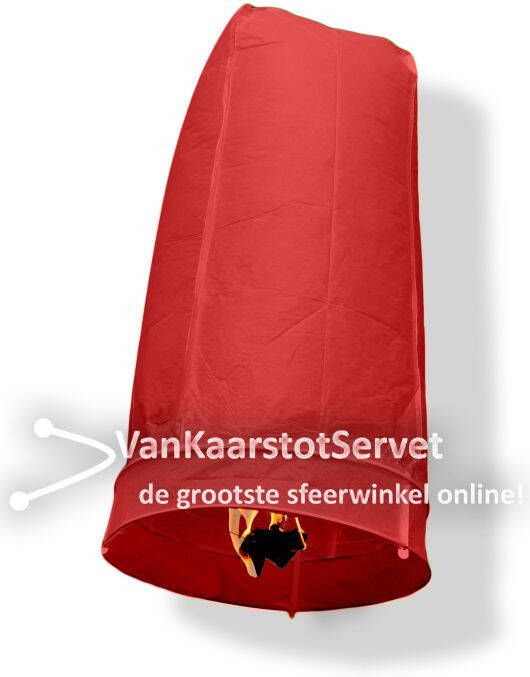 Wensballon 100 50 rood