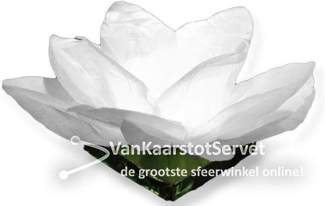 Wensballon Waterlelie Kaars 30cm Wit (per stuk)