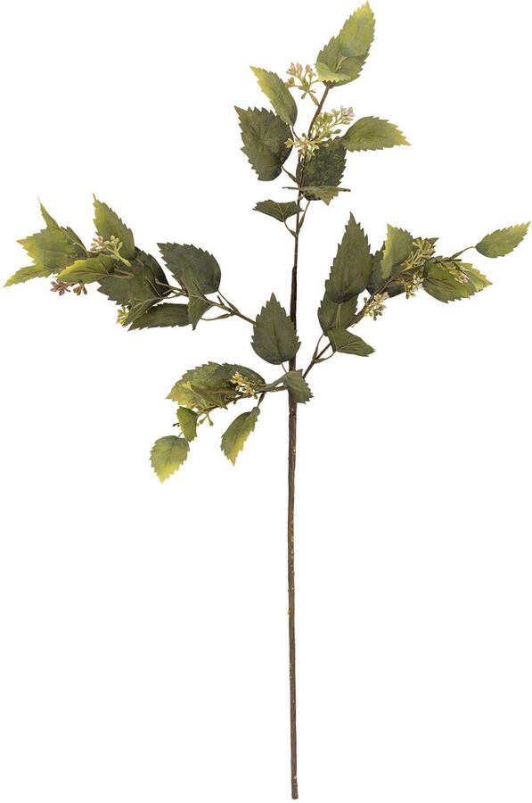 Bloomingville kunsttak Eucalyptus