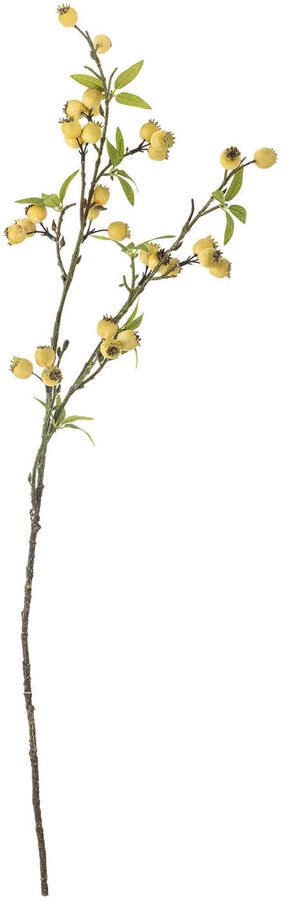 Bloomingville kunsttak Hawthorn