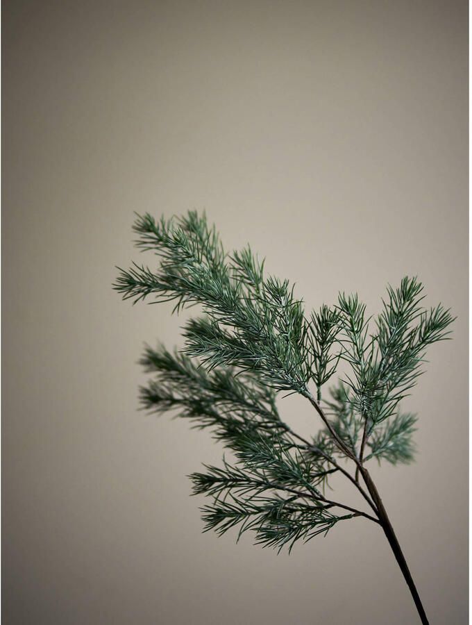 Bloomingville kunsttak Pine - Foto 3