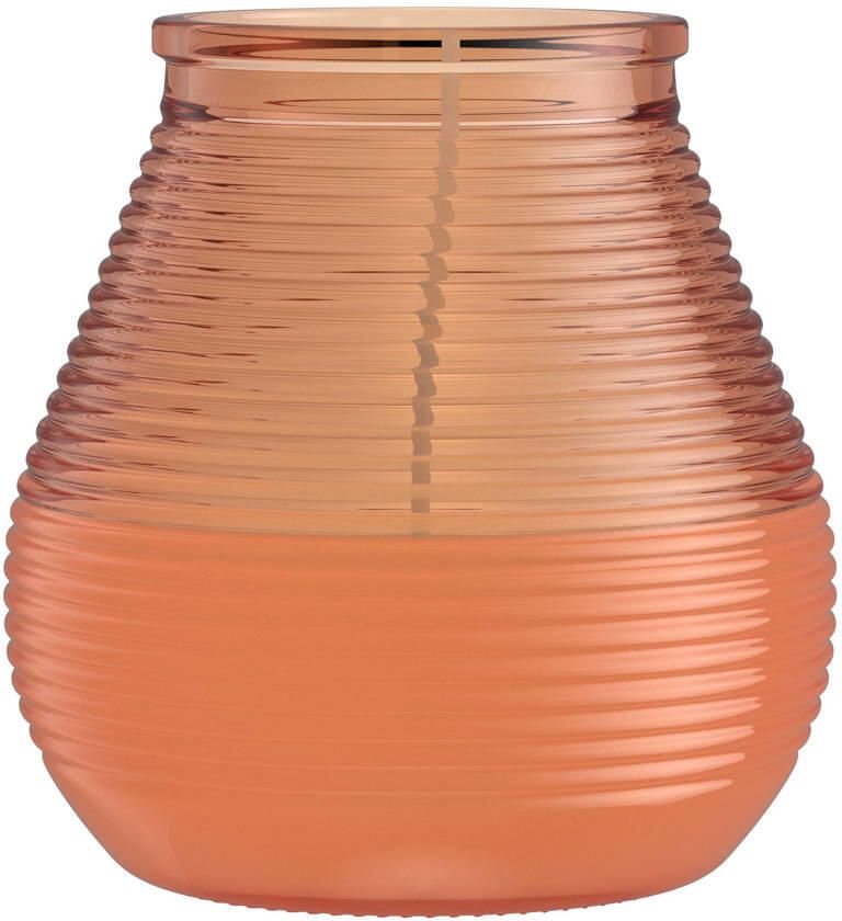 Bolsius geurkaars Citronella (set van 6) - Foto 3