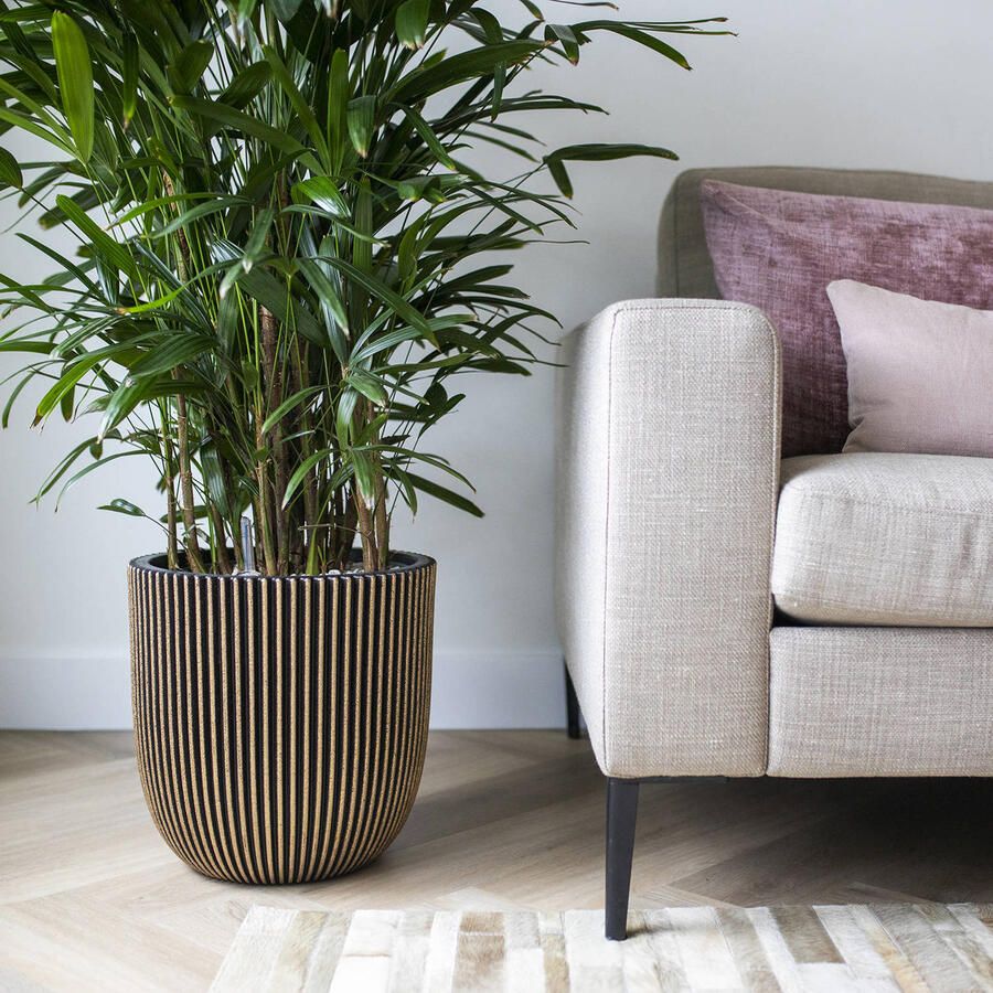 Capi bloempot - Foto 2