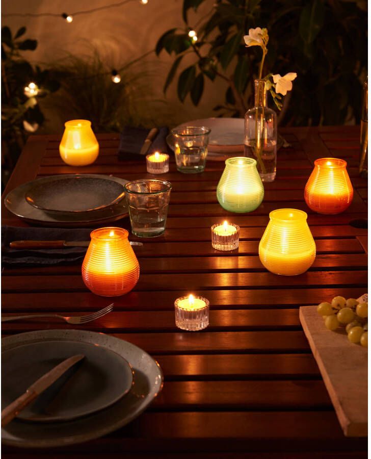 Bolsius geurkaars Citronella (set van 6)