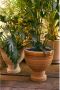 HKLIVING bloempot (36x37 cm) - Thumbnail 3