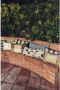 HKLIVING Bayside Linen Sierkussen 40 x 60 cm - Thumbnail 2