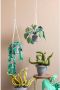 Kidsdepot kunstplant Alocasia - Thumbnail 3