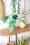 Kidsdepot kunstplant Monstera (25x40 cm) - Thumbnail 2