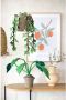 Kidsdepot kunstplant Monstera (25x40 cm) - Thumbnail 3