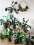 Kidsdepot kunstplant Zebrina (25x50 cm) - Thumbnail 2