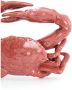 Light & Living ornament Crab - Thumbnail 2