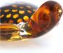 Light & Living ornament Turtle - Thumbnail 2
