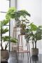 Mica Decorations Groene Monstera gatenplant kunstplant 60 cm in zwarte pot Kunstplanten nepplanten Kunstplanten - Thumbnail 2