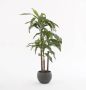 Mica Decorations Dracaena Kunstplant H100 cm - Thumbnail 2