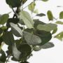 Mica Decorations Kunstplant Eucalyptusboom in Pot H180 x Ø80 cm - Thumbnail 2