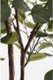 Mica Decorations Kunstplant Eucalyptusboom in Pot H180 x Ø80 cm - Thumbnail 3