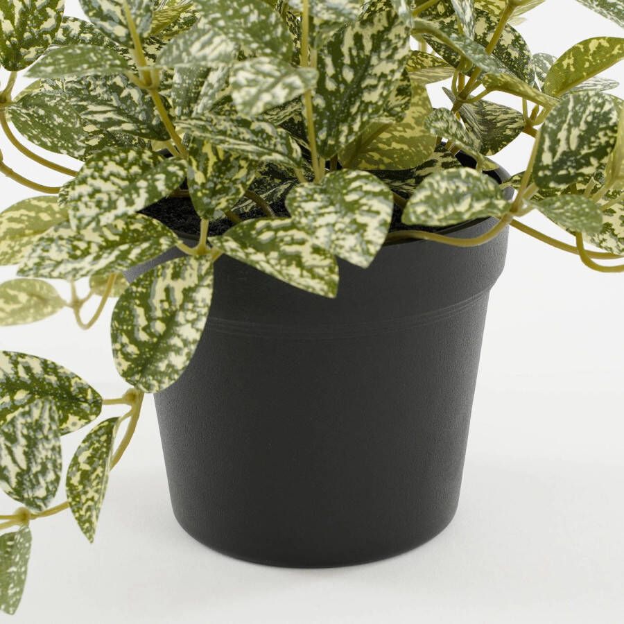 Mica Decorations kunstplant Fittonia