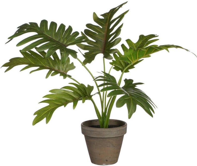 Mica Decorations kunstplant Philodendron